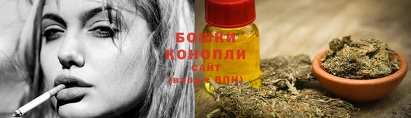 стаф Коряжма