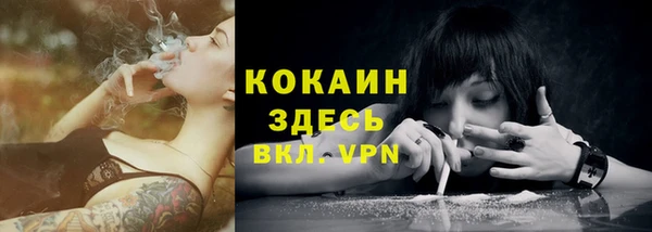 стаф Коряжма