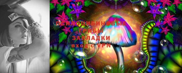 a pvp Костерёво
