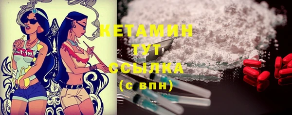стаф Коряжма