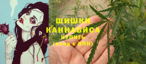 стаф Коряжма