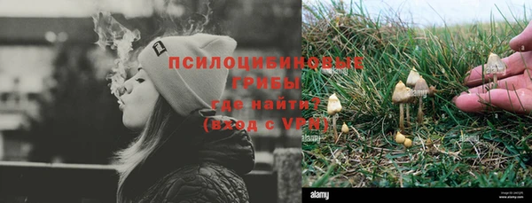 a pvp Костерёво