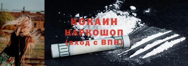 стаф Коряжма