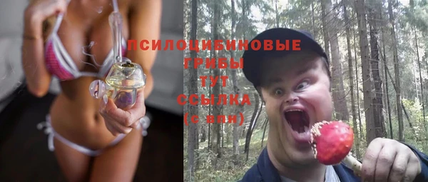 a pvp Костерёво